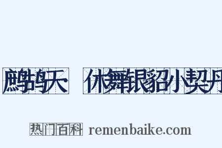 鹧鸪天·休舞银貂小契丹是什么意思的图片